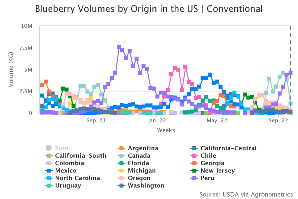 blueberry volumes by ori 4 1